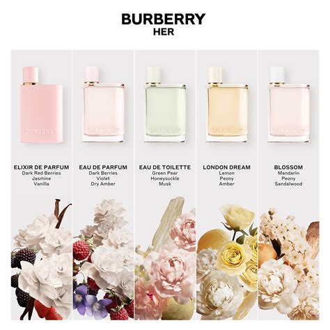 burberry her elixir vs eau de parfum|burberry her elixir review.